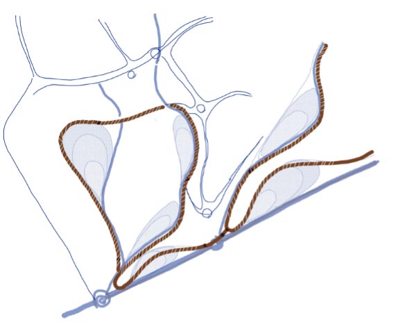 Exemple de parcours boisé