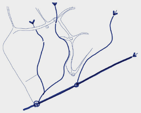 Réseau hydrologique du Lamentin, Martinique