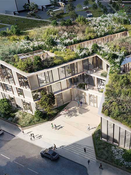 Végétalisation des toits, adaption des quartiers au changement climatique, Ville du Lamentin